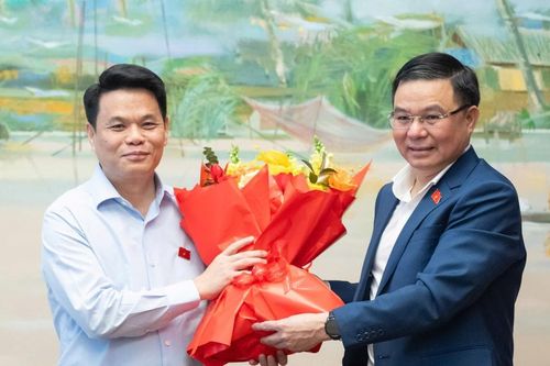 Ông Lê Ngọc Châu được bầu giữ chức Trưởng Đoàn ĐBQH thành phố Hải Phòng khóa XVI