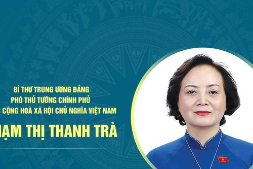 Tiểu sử Phó Thủ tướng Chính phủ Phạm Thị Thanh Trà