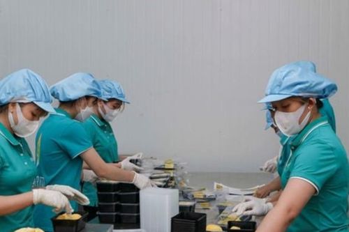 Cú hích để sản xuất chuyên nghiệp thông qua mô hình HTX