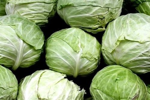 Thái Lan triệt phá vụ vận chuyển 1,6 tấn ma túy đội lốt bắp cải