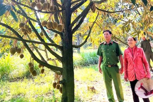 Đấu tranh, phòng ngừa tội phạm trộm cắp tài sản tại Lâm Đồng