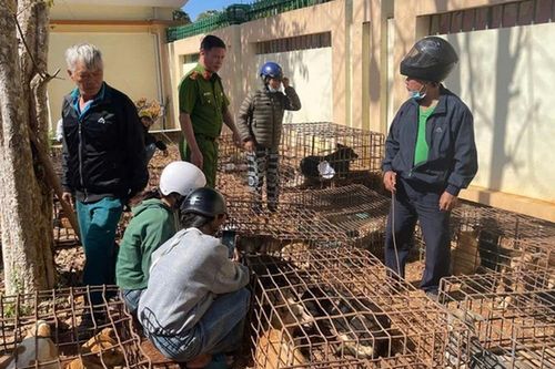 70 con chó bị nhốt trong lồng sắt ở nhà dân, hé lộ đường dây trộm cắp: Bắt Phạm Tuấn Giang, Phạm Minh Cường
