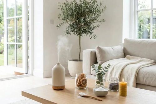 Nhà có mùi khó chịu khi giao mùa? 4 cách xử lý nhanh gọn giúp không gian luôn khô thoáng, dễ chịu