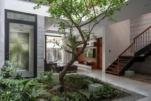 Những ý tưởng đơn giản tạo không gian xanh cho nhà phố