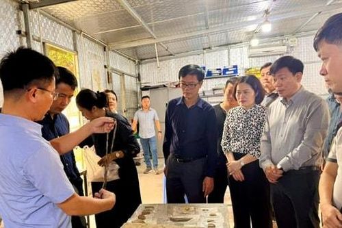Để di chỉ khảo cổ Vườn Chuối trở thành không gian văn hóa - di sản tiêu biểu của Thủ đô