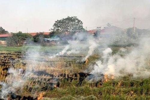 Hà Nội: Chấm dứt đốt rơm rạ, rác tự phát