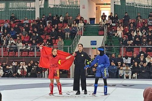 Hà Nội chuẩn bị tổ chức Festival Võ thuật quốc tế 2026 tại Hoàng thành Thăng Long