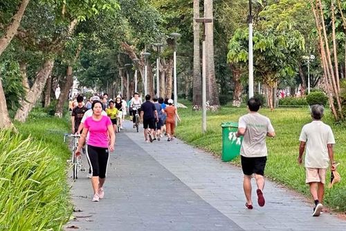 Người bệnh tim mạch nên tập luyện vào khung giờ nào là tốt nhất?