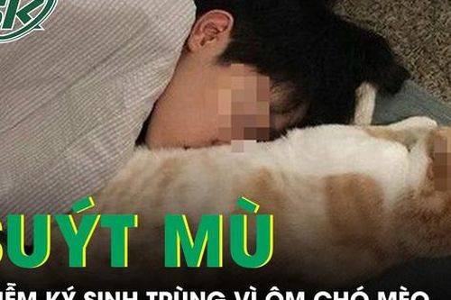 Bé trai 14 tuổi suýt mù vì không rửa tay sau khi ôm chó mèo