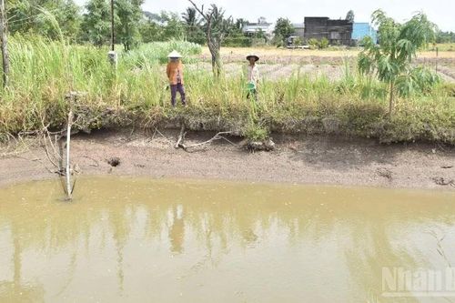 Đồng Tháp bảo đảm nước ngọt giữa mùa hạn, mặn