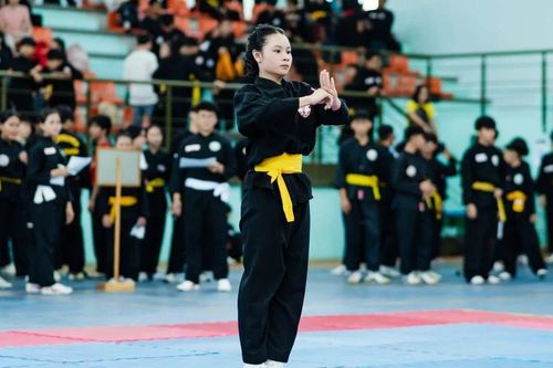 Hun đúc tinh thần Võ cổ truyền trong học sinh Thành phố Hồ Chí Minh