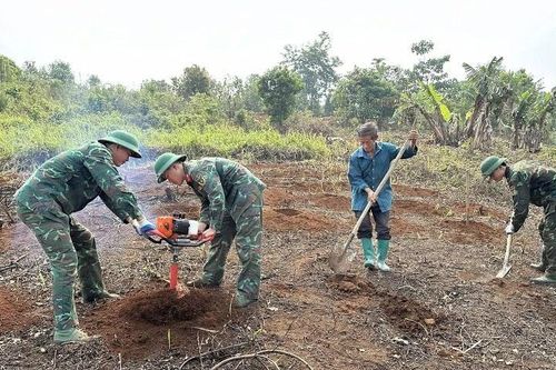Đẩy nhanh tiến độ thực hiện chiến dịch 'Điện Biên Phủ trong thời bình'