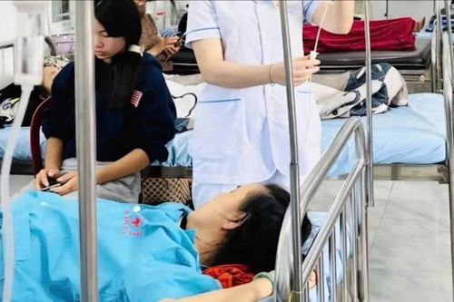 Vụ ngộ độc bánh mì ở Đắk Lắk: Rau và chà bông bị nhiễm vi khuẩn Salmonella