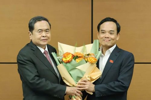 Đồng chí Trần Lưu Quang giữ chức Trưởng Đoàn đại biểu Quốc hội TPHCM