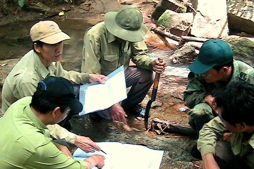 Lâm Đồng: Yêu cầu kiểm tra, cập nhật đúng thực tế việc giảm hơn 17.700ha rừng