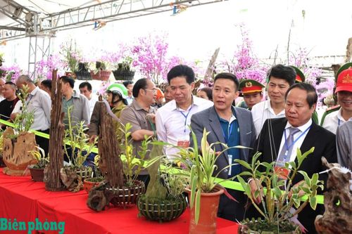 Hương sắc lan rừng nơi biên cương Lai Châu