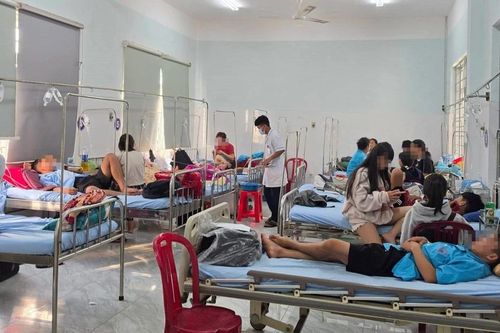Vụ ngộ độc thực phẩm ở Đắk Lắk: Phát hiện 5 mẫu dương tính vi khuẩn Salmonella