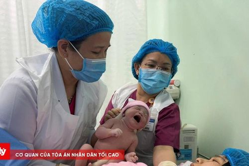 TP.HCM đối mặt 'khủng hoảng sinh'