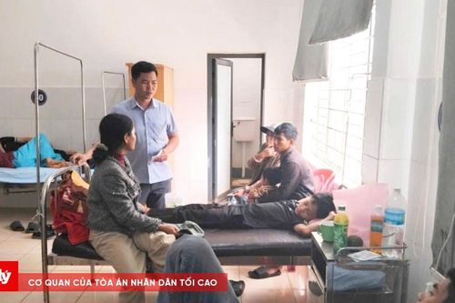 Phát hiện nguyên liệu trong bánh mì nhiễm khuẩn Salmonella