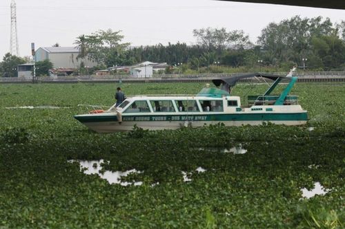Người đàn ông đi xe máy đến cầu bất ngờ nhảy xuống, không ai kịp ngăn