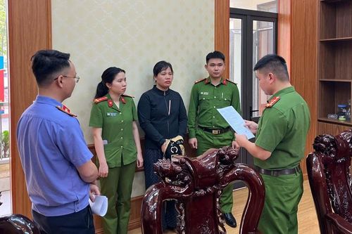 Bắt tạm giam đối tượng lừa đảo 'chạy án' chiếm đoạt gần 500 triệu đồng