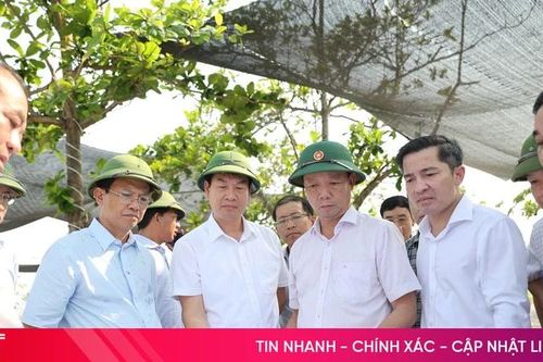 Tạo sức bật phát triển Khu du lịch Xuân Thành xứng tầm khu vực