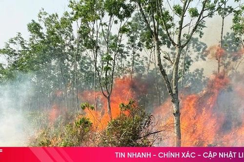 Kịp thời khống chế điểm phát lửa trên rừng cao su