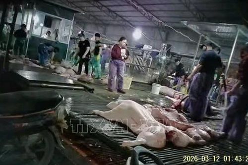 Cần chế tài nghiêm khắc với đối tượng kinh doanh thực phẩm 'bẩn'