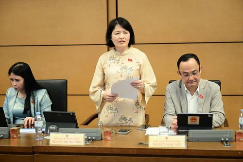 Đại biểu Quốc hội đề xuất giải pháp chăm sóc, bảo vệ trẻ em