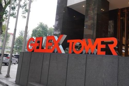 GELEX chia cổ tức và cổ phiếu thưởng tổng 45%, tăng vốn lên hơn 13.000 tỷ đồng