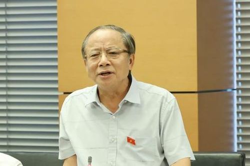 ĐBQH: Dự án chỉ cần chậm 1 năm là mất hàng tỷ USD, lãng phí vô cùng lớn
