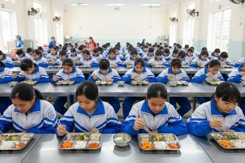 TPHCM kiểm tra 317 cơ sở cung cấp suất ăn trường học