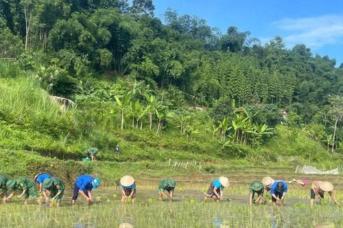Tình quân dân thắp sáng bản vùng cao
