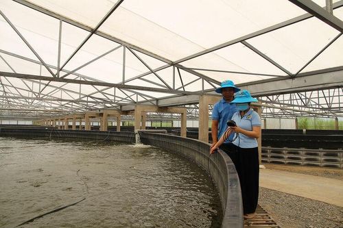 'Chìa khóa' tăng trưởng bền vững
