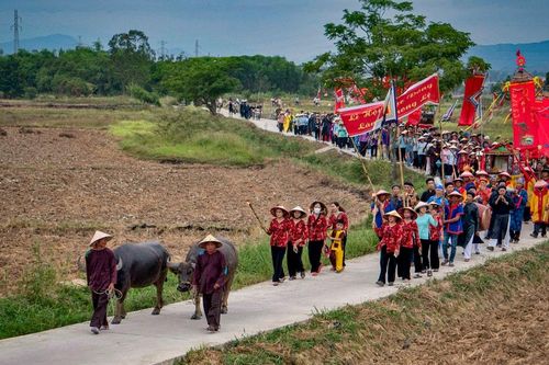 Mùa xuân dự hội đình làng