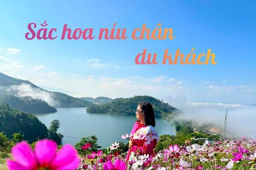Sắc hoa níu chân du khách