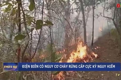 Điện Biên có nguy cơ cháy rừng cấp cực kỳ nguy hiểm