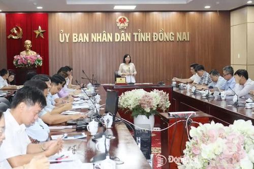 Đồng Nai yêu cầu đẩy nhanh việc rà soát, khai thác hiệu quả quỹ đất công