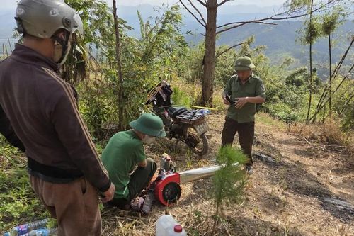 Gia Lai tăng cường công tác phòng cháy chữa cháy rừng