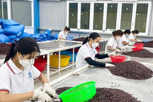 Gia Lai: Các cụm công nghiệp đang hoạt động được lấp đầy khoảng 81% diện tích