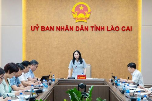 Phó Chủ tịch UBND tỉnh Vũ Thị Hiền Hạnh làm việc với Sở Văn hóa, Thể thao và Du lịch