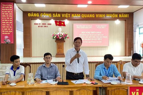 Cát Tiên 3 triển khai mô hình sản xuất lúa hữu cơ gắn liên kết tiêu thụ