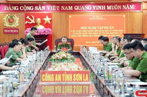 Tập huấn chuyên sâu các luật, pháp lệnh về an ninh, trật tự
