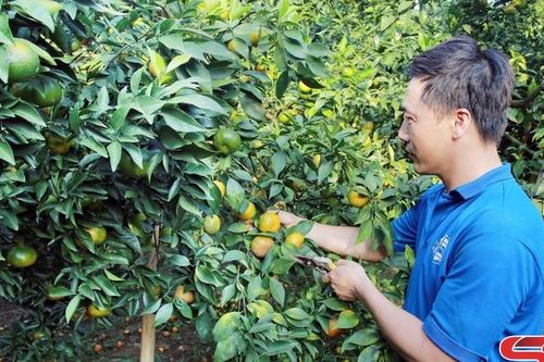 Đoàn Kết khai thác hiệu quả tiềm năng, thế mạnh