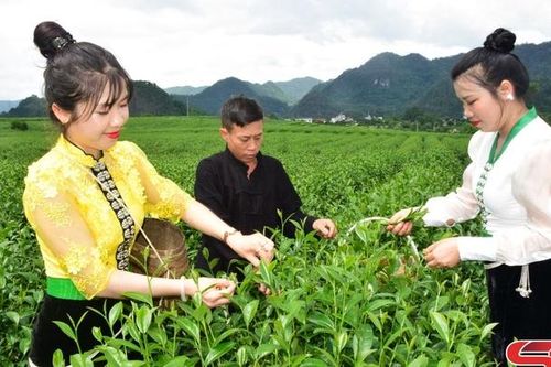 Viết tiếp câu chuyện đặc sản địa phương bằng 'tấm vé' OCOP