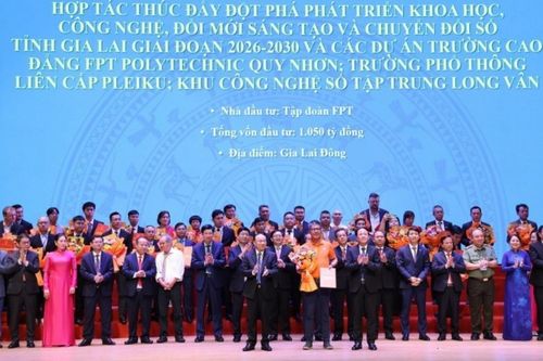 Gia Lai thành lập 3 khu công nghệ tập trung do doanh nghiệp đầu tư