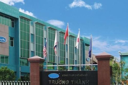 Lỗ lũy kế hơn 3.250 tỷ đồng, Gỗ Trường Thành vẫn đặt mục tiêu có lãi