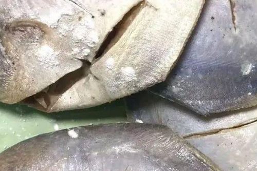 Đừng tiếc tiền nếu gặp 5 loại cá này ở chợ: Hoàn toàn tự nhiên, bổ dưỡng cực kỳ