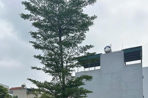 Mỗi thửa đất chỉ được cấp một mã định danh duy nhất