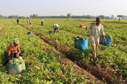 Miền Tây cuối mùa gió chướng: Kỳ 3: 'Thuận thiên' để phát triển bền vững